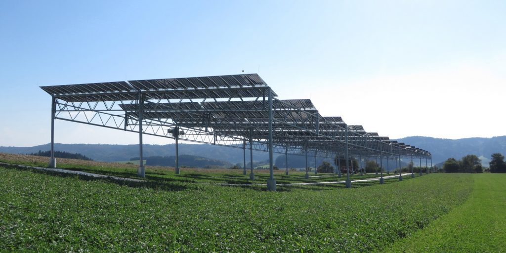 Agrophotovoltaik-Pilotanlage auf dem Gelände der Demeter-Hofgemeinschaft in Heggelbach.