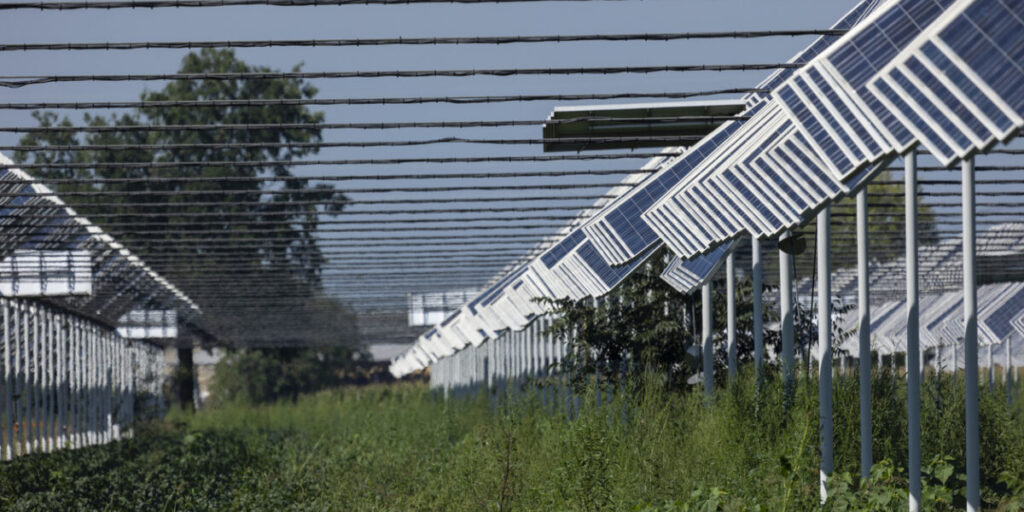 Agri-Photovoltaik-Anlage in Italen