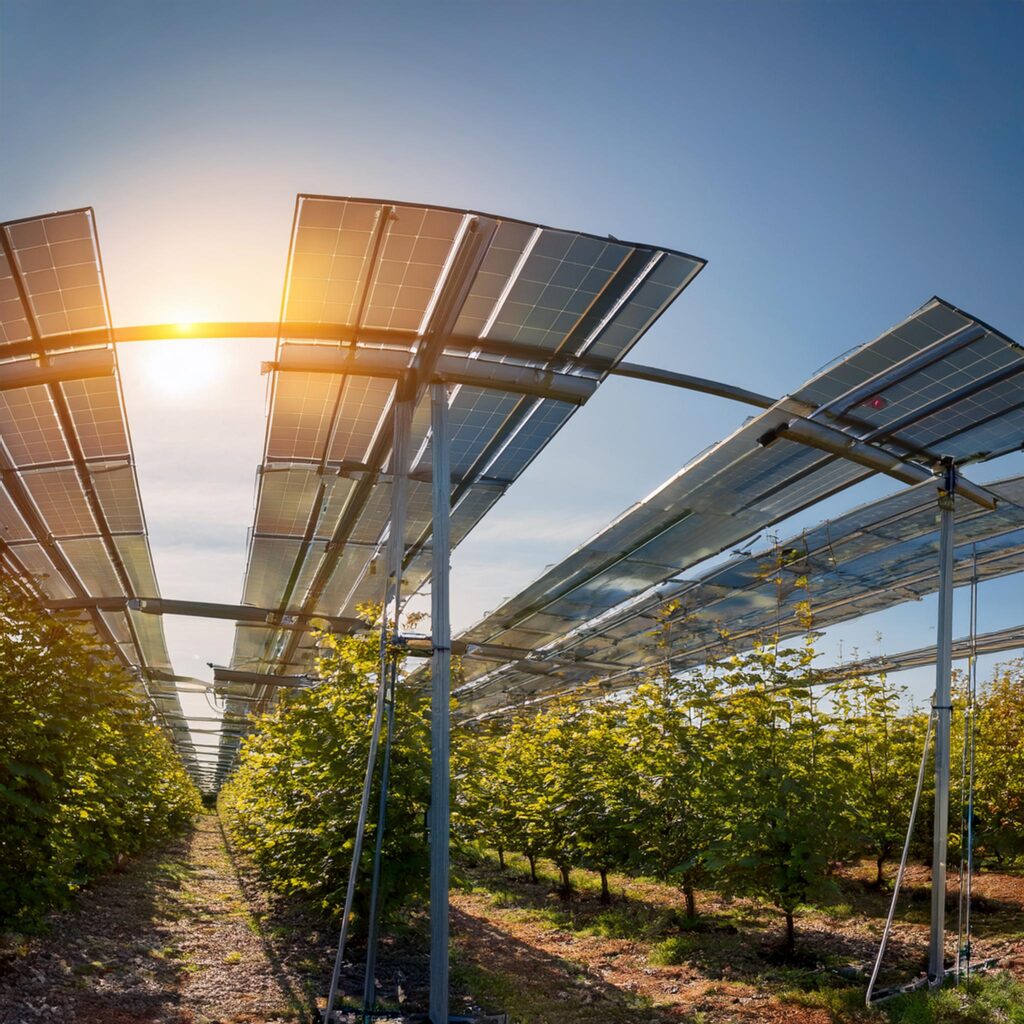 Mykovoltaik Pilze Agri-PV Haselnüsse KI